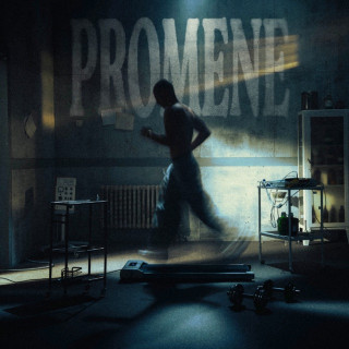 Voyage - Promene album cover