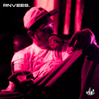 gins&melodies - RNVEES album cover