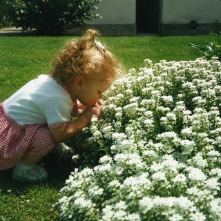 Hollyn - Theology Of Beauty: Spring album cover