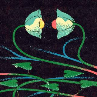 Lane 8 - Cross Pollination II compilation cover