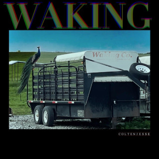 Colten Jesse - Waking album cover