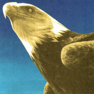 Protomartyr - Hotel Usona album cover