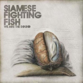 Siamese - We Are The Sound album cover