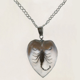 HONEYMOAN - LOVE DESTROY ME album cover