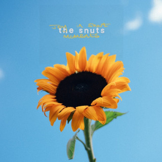 The Snuts - Joy In Short Moments album cover