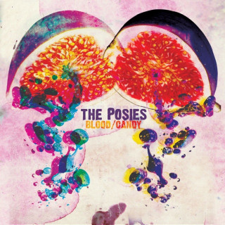 The Posies - Blood/Candy album cover