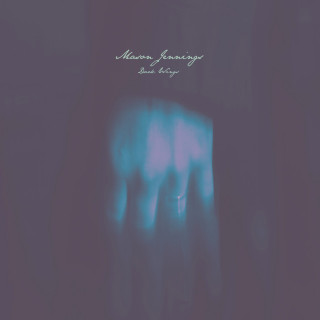 Mason Jennings - Dark Wings album cover