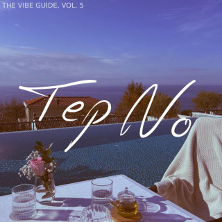 Tep No - The Vibe Guide, Vol. 5 compilation cover