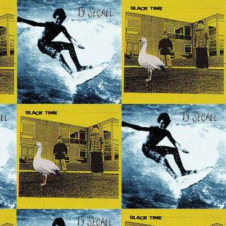 Ty Segall - Split LP split cover