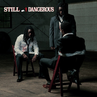 BabyDrill - Still Dangerous album cover