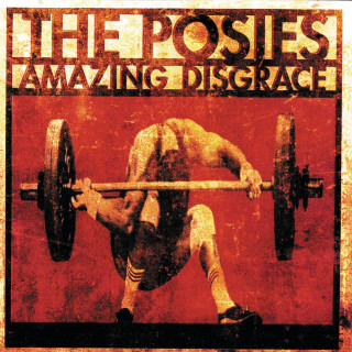 The Posies - Amazing Disgrace album cover