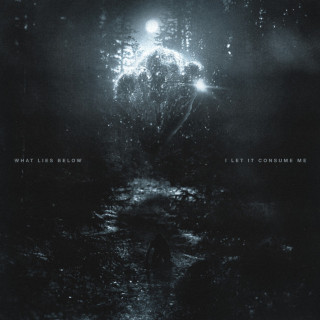 What Lies Below - I Let It Consume Me album cover