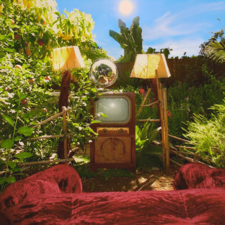 Peach Tree Rascals - Velvet album cover