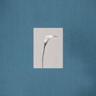 Choi Yu Ree - Stay: Two (머무름, 둘) EP cover