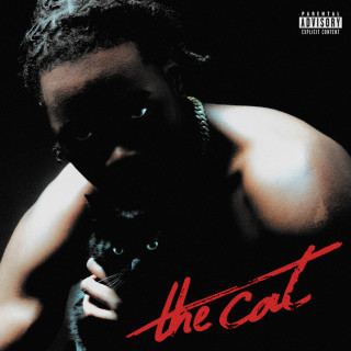Nono La Grinta - the cat album cover