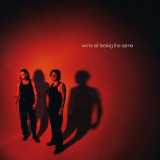 lovelytheband - we're all feeling the same album cover