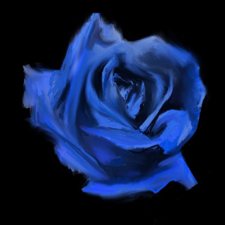 Current Joys - ROSEBUD album cover