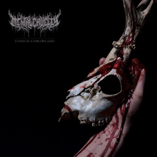 Mental Cruelty - Echoes Of A Forlorn Land album cover