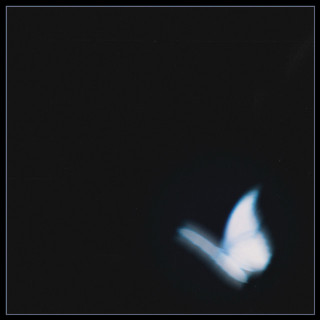 Dylan Holland - Cause & Effect album cover