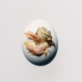 Shygirl - SWALLOW! album cover