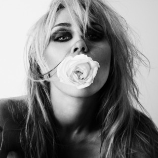 Miley Cyrus - Bass Persuades album cover