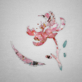 Her Last Sight - SEASONS // SPRING album cover