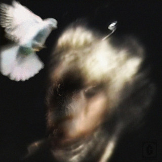 Sickboyrari - CITY OF CROWS mixtape cover