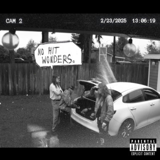The Rat Utopia Experiment - No Hit Wonders. album cover