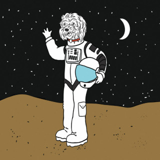 Bayside - Bark At The Moon EP cover