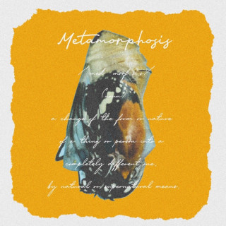 Guddhist Gunatita - Metamorphosis album cover