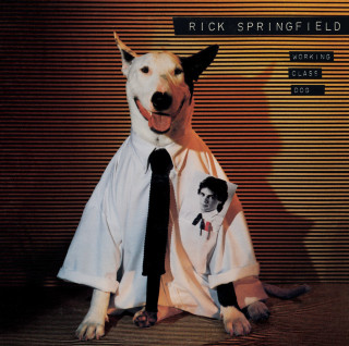 Rick Springfield - Working Class Dog album cover