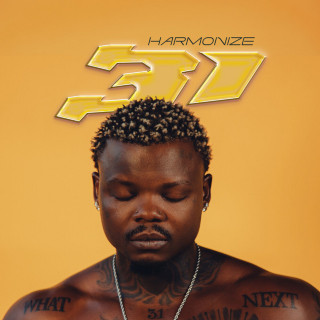 Harmonize - 31 album cover