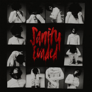 YFG FATSO - Sanity Evaded album cover