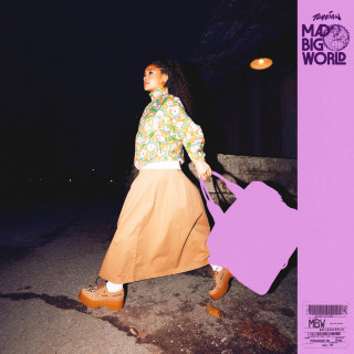 Terrian & Madison Ryann Ward - Mad Big World album cover