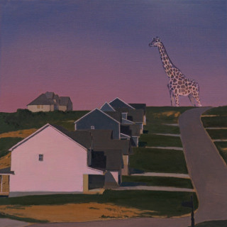 Oso Oso - an exchange of information album cover