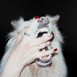 Porch Light - Hush album cover