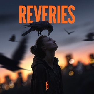 Breakdown Of Sanity - Reveries album cover