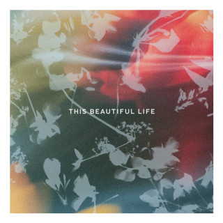 The Light The Heat - This Beautiful Life EP cover