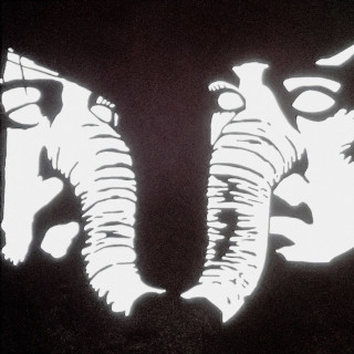 Death From Above 1979 - Private Lives album cover