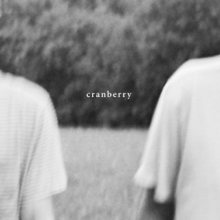 Hovvdy - Cranberry album cover