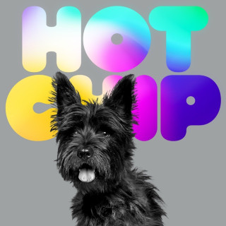 Hot Chip - A Long Way From Kansas album cover