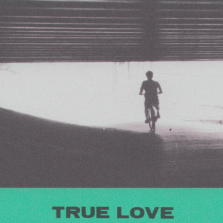 Hovvdy - True Love album cover