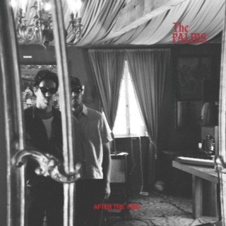 The Palms - After The Fire album cover