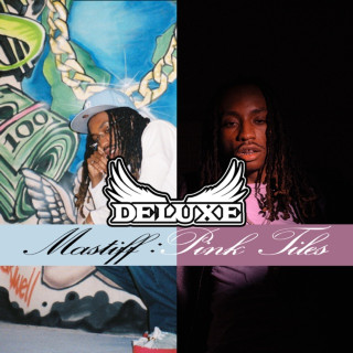 Lelo & Apolloscase - Mastiff : Pink Tiles album cover