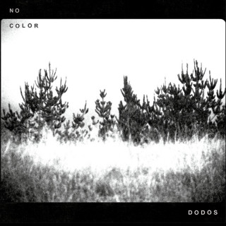 The Dodos - No Color album cover