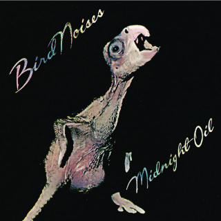 Midnight Oil - Bird Noises EP cover