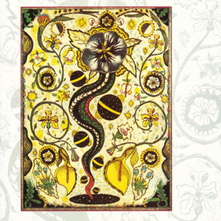 Steve Earle - I Feel Alright album cover