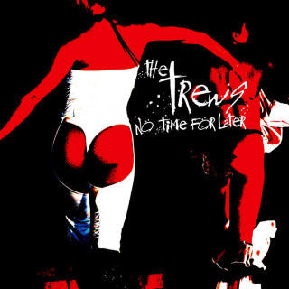 The Trews - No Time For Later album cover