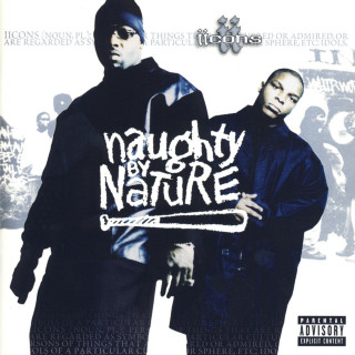 Naughty By Nature - IIcons album cover