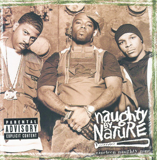 Naughty By Nature - Nineteen Naughty Nine: Nature's Fury album cover